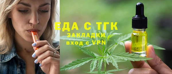 индика Киреевск
