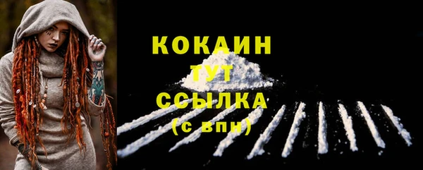 гидропоника Кодинск