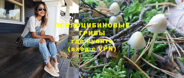 гидропоника Козельск
